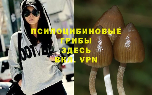 прущая мука Краснотурьинск