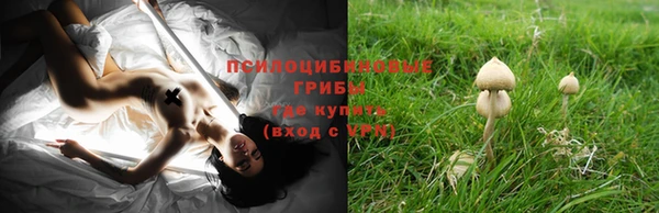 прущая мука Краснотурьинск