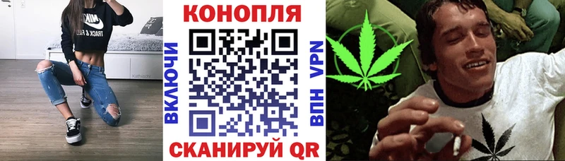 дарнет шоп  Петушки  Каннабис гибрид 